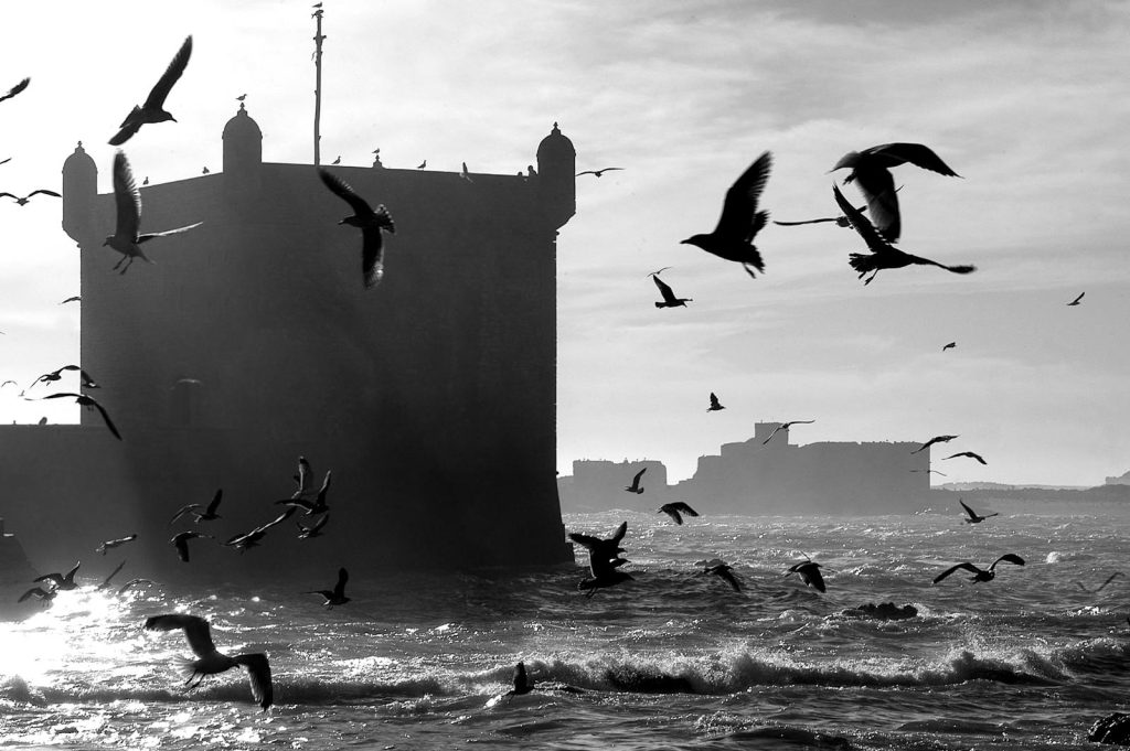 Discovering Morocco’s Atlantic Coast 2026